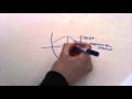 Tongue Anatomy and Function