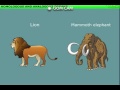 Evolution and Organ Similarities