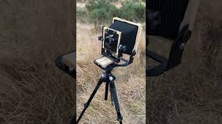 Shooting 4x5 in Ashdown Forrest