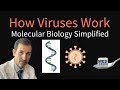 Exploring the Mechanisms of Viral Function