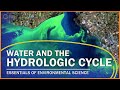 Exploring the Water Cycle and Its Impact on Pollution