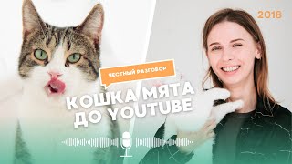 КОШКА МЯТА: КАК ВСЕ НАЧИНАЛОСЬ?😍