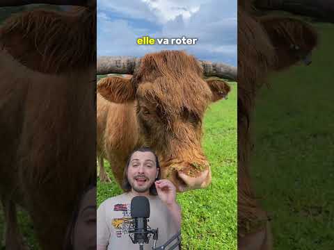 La pire invention humaine 🫣#culturegenerale #nature #vache #gaz