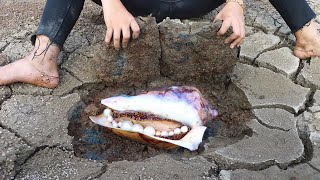 Unbelievable A lot of Perfect Pearls Come Out Shells - Hunting Crystal Pearls