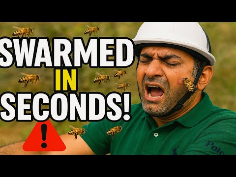HORROR bee Attack on Polo Icon Sunjay Kapur – Viewers Are in Shock!
