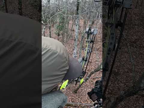 30 DEER IN 2 DAYS #BEEREAL #shorts