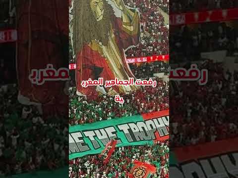 غدي تصدمو من هدشي لكتبو الجماهير المغربية في التيفو العالمي#الجماهير_المغربية #تصفيات_كأس_العالم