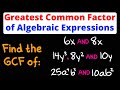Finding the Greatest Common Factor