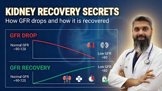 Can Low GFR Improve? | The Hidden Phases of Kidney Injury & Recovery