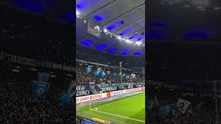 ABFLUG! DIE NORDTRIBÜNE HEBT AB 🚀🔥 #hsv #shorts