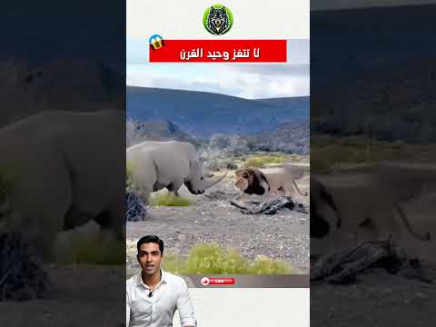 🦏💥 لا تعبث مع وحيد القرن #shorts