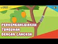 Mencangkok Tanaman dan Perkembangbiakan
