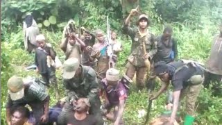 Innalillahi.kalli videon yadda yan bindiga sukayiwa yan arewa yan rago azamfara yanzu Yanzu 