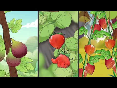 Tổng hợp vườn cây ồn ào - phần 2