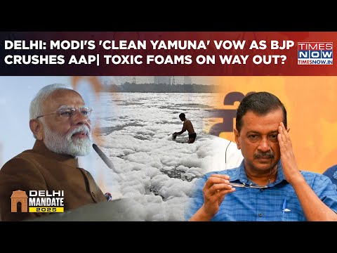 Delhi Elections: Modi's 'Clean Ma Yamuna' Vow As BJP Decimates AAP| Toxic Foams To End Soon? Watch