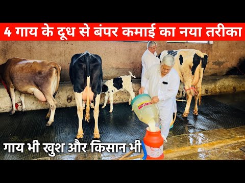 4 दुधारू गाय 1 क्विंटल दूध रोज महीने का 1 लाख 50 हजार |   Smart Dairy Farm in karnal haryana