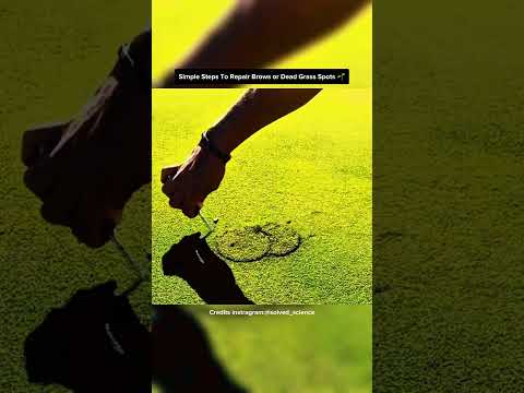 Clips You Need To See Before You Die 😳 ✨Part 24✨Credits instragram:@solved_science #shorts