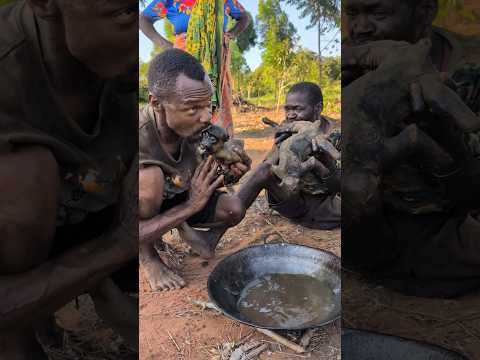 Wow that's Amazing Lunch,😋‼️ Nutritious food, bushmen enjoying food #wildlife #culture