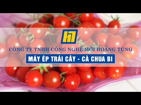 Máy Ép Nước Trái Cây WF-A3000