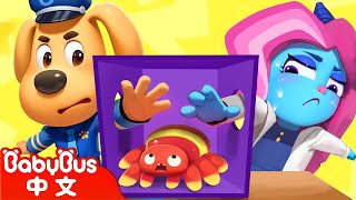 【新劇集】瞌睡羊闖關 | 最強羊選拔賽 | 水城季🌊 EP 04 | 動畫 | Kids Cartoon | 安全教育 | 安全警長啦咘啦哆 | 寶寶巴士 BabyBus