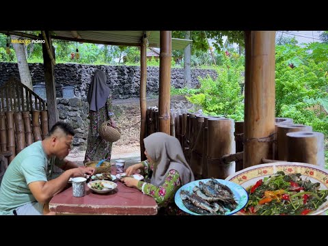 tumis bayam di bumbu saus tiram nikmat luar biasa, makan bersama, masakan desa