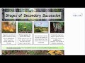 Ecological Succession Concepts