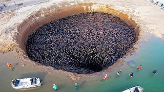 Momentos en la Naturaleza Que Ocurren una Vez Entre Mil Millones