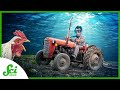 Marine Farming and Symbiotic Relationships