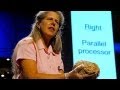 Understanding the Brain and Stroke Experience