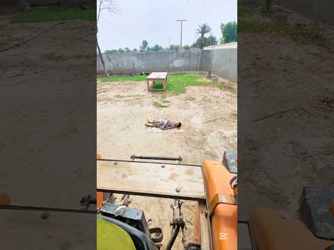 raajjo NY bachi ki Jan bcha li#Allah#islamicvideo#mrbeast#trending#usa#india#foryou