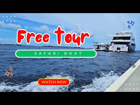 Safari boat tour have a look