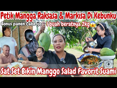 PETIK MANGGA RAKSASA&MARKISA‼️MEMBUAT MANGO SALAD FAVORIT SUAMI || MASAK IKAN,CUMI KRISPY,PAKIS LIAR