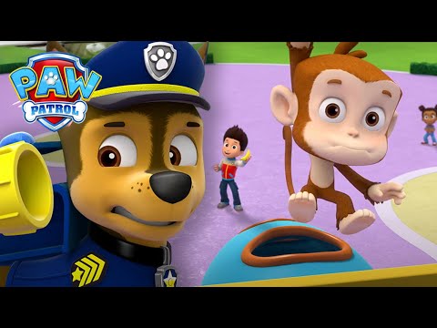 Os cachorros tentam apanhar um macaco muito tonto - Patrulha Pata PAW Patrol Episódio Português