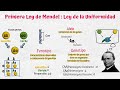 Cuestionario sobre las Leyes de Mendel