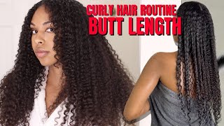 My Curly Hair Routine That Grew My Hair to Butt Length!
