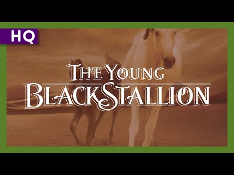 Young Black Stallion (2003) Trailer