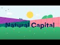 Natural Capital Awareness and Impacts