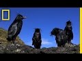 Tristan da Cunha Oil Spill and Citizen Journalism
