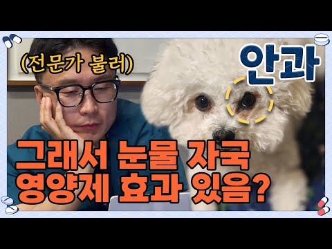 또다시 사고 싶은 약 또살약 시즌2 그 첫 번째 이야기! 광고 속 반려동물 눈 영양제 과연 효과 있을까? Will eye supplements for pets work?