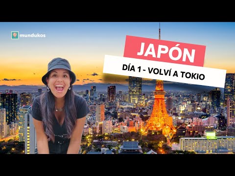 Volví a Japón 🇯🇵 Día 1 - Requisitos y llegada