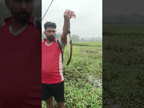 പ്രതീക്ഷിക്കാതെ ഉള്ള സ്ട്രൈക്ക്