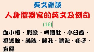 英文雜談：人身體器官的英文及例句 16：血小板、屁股、啤酒肚、小臼齒、攝護腺、義肢、瞳孔、膿包、疹子、直腸