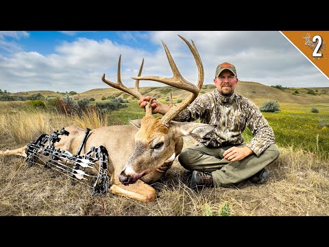 GROUND HUNTING Public Land Bucks!!! (The Perfect Ambush!)