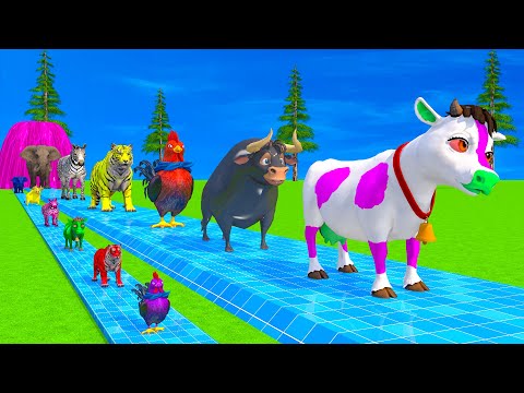 Long Slide Game With Elephant Gorilla Buffalo Hippopotamus Tiger - 3d Animal Game - Funny 3d Animals