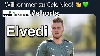 Borussia Mönchengladbach - Lars Stindl zurück, Nico Elvedi steigt ein #shorts