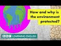 International Environmental Law Concepts