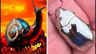 10 Animales Imposibles de Creer Que Existen