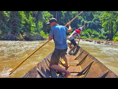 ĐI RỪNG SAU MÙA LŨ • Tìm Măng Rừng - Tập 1