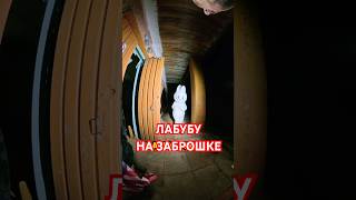 Встретил Лабубу На ЗАБРОШКЕ!