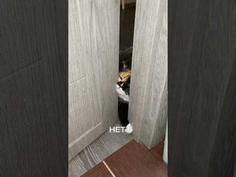 И так, каждый раз… 🤭😃🤗